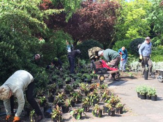 Muddy Fork Planting