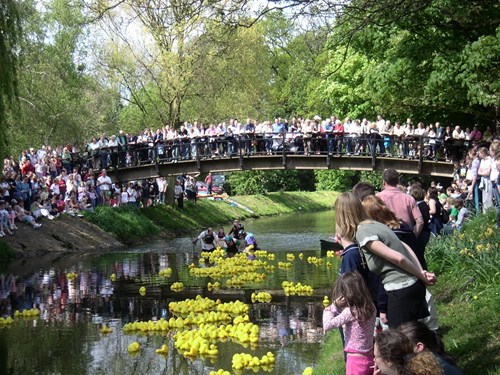 Duck race on Charter Day