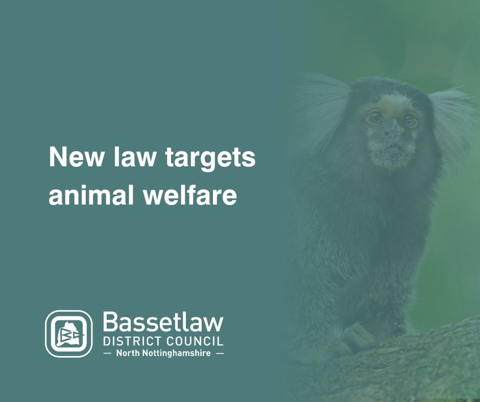 New law targets animal welfare
