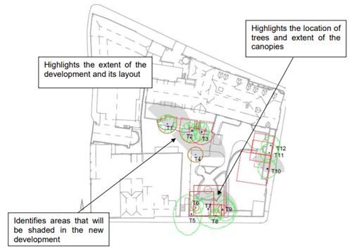 An example of a good tree location and constraints plan