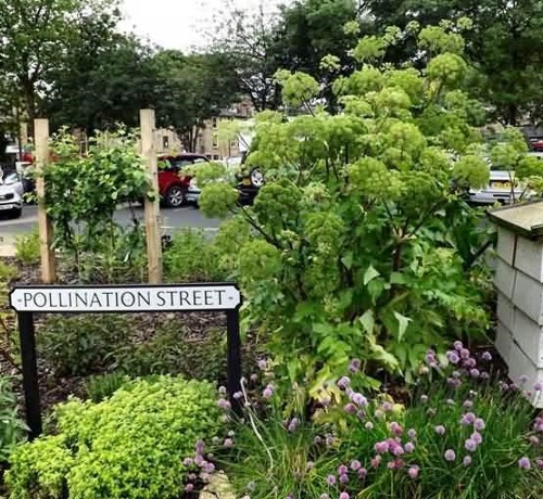 Street sign reading 'Pollination Street' surrounded by greenery and foliage.
