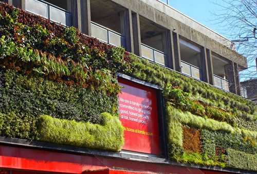 "Sutton, Surrey, Greater London - Green Wall in the sun" by tonymonblat is licensed with CC BY-SA 2.0.”