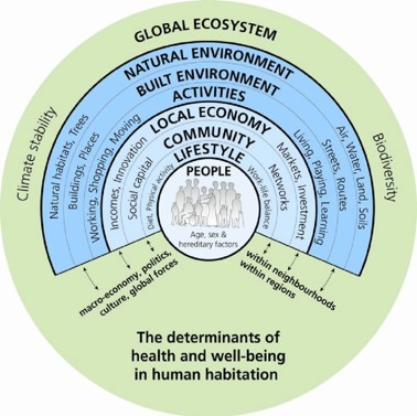 The determinants of health and well-being. Tier 1 - People: Age, sex and hereditary factors. Tier 2 - Lifestyle: diet, physical activity and work-life balance. Tier 3 - Community: Social capital and networks. Tier 4 - Local Economy: Incomes, innovation, markets and investment. Tier 5 - Activities: Working, shopping, moving, living, playing and learning. Tier 6 - Built Environment: Buildings, places, streets and routes. Tier 7 - Natural Environment: Natural habitats, trees, air, water, land and soil. All tiers come under the 'Global Ecosystem' which is broken into climate stability (macro-economy, politics, culture and global forces) and biodiversity (within neighbourhoods and regions).