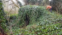 Ice House at Wiseton Hall, Wiseton