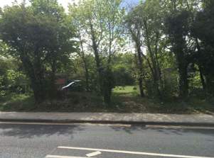 Natural areas close to the Town Centre - new development should mitigate for any loss of habitats