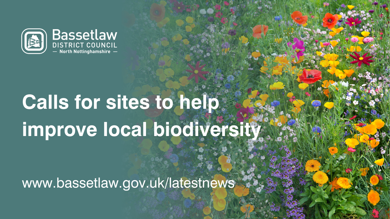 Calls for sites to help improve local biodiversity