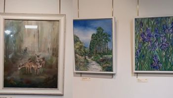Bassetlaw Museum showcases local art group