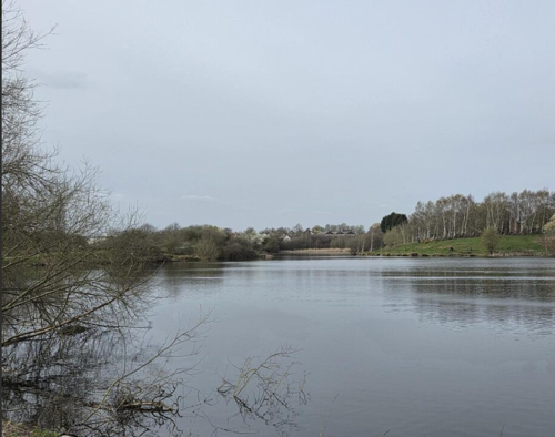 Sandhill Lake